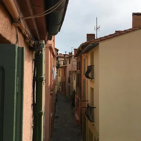 T3 Au Coeur De Collioure